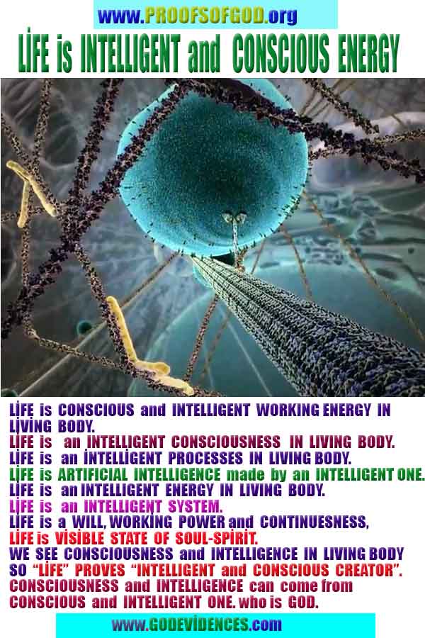 proofs of god, proofs-god, proofs god, evidences of god, evidences-god, god exists, god is real