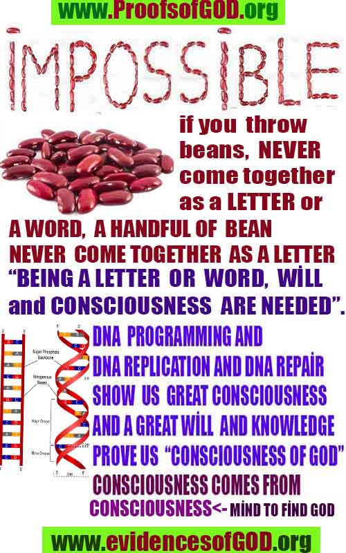 proofs of god, proofs-god, proofs god, evidences of god, evidences-god, god exists, god is real