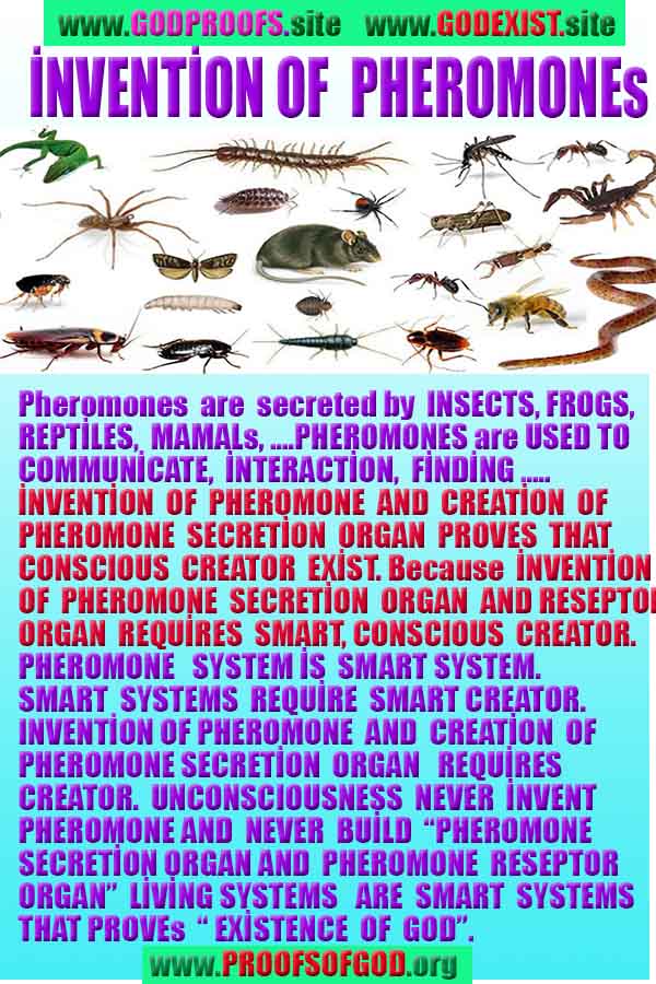 proofs of god, proofs-god, proofs god, evidences of god, evidences-god